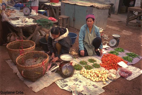 Vendeuses de poissons sur le marché de Chang Rai, Triangle d'or. © G. Cros, Cirad
